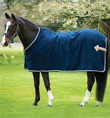 Custom Pony Rug